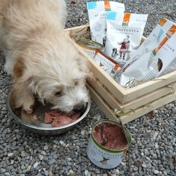 Hunde Nassfutter Charlie 1